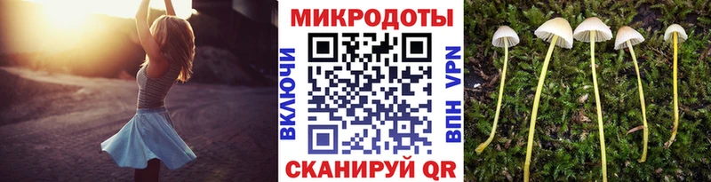Галлюциногенные грибы мухоморы  Купить где  Талдом